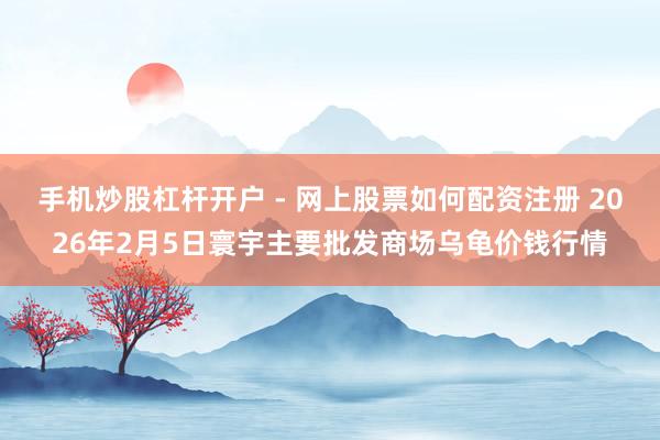 手机炒股杠杆开户 - 网上股票如何配资注册 2026年2月5日寰宇主要批发商场乌龟价钱行情