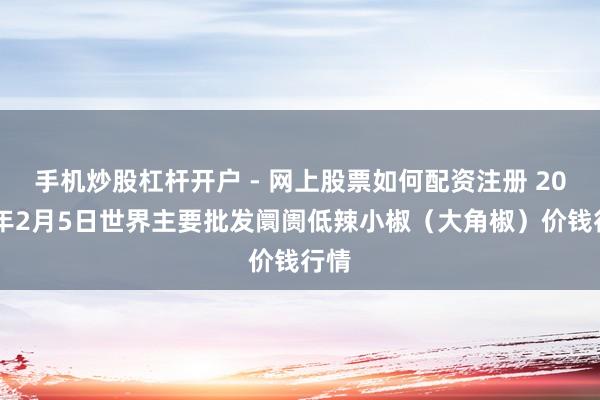 手机炒股杠杆开户 - 网上股票如何配资注册 2026年2月5日世界主要批发阛阓低辣小椒（大角椒）价钱行情