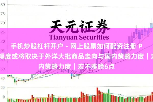手机炒股杠杆开户 - 网上股票如何配资注册 PPI后续回升幅度或将取决于外洋大批商品走向与国内策略力度|宏不雅晚6点