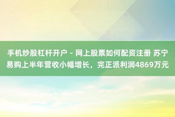 手机炒股杠杆开户 - 网上股票如何配资注册 苏宁易购上半年营收小幅增长,完正派利润4869万元