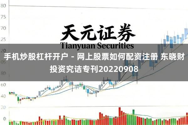 手机炒股杠杆开户 - 网上股票如何配资注册 东晓财投资究诘专刊20220908